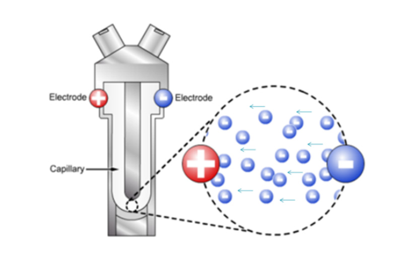 OMEC NS-Zeta产品介绍-2409(审阅稿)2198.jpg OMEC NS-Zeta产品介绍-2409(审阅稿)2198.jpg
